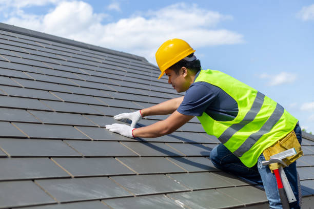 Best Roof Gutter Cleaning  in Altamont, TN